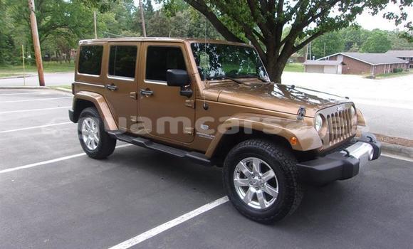 Medium with watermark 1336969145