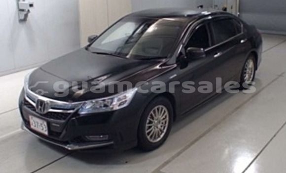 Medium with watermark grand daddy