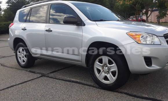 Buy Used Toyota RAV4 Silver Car in Barrigada in Barrigada Buy Used Toyota RAV4 Silver Car in Barrigada in Barrigada