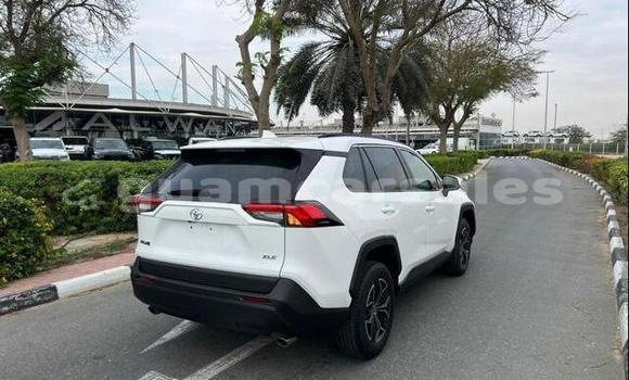 Buy Import Toyota RAV4 White Car in Talofofo in Talofofo Buy Import Toyota RAV4 White Car in Talofofo in Talofofo
