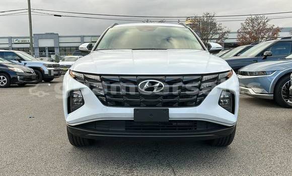 Buy Used Hyundai Tucson White Car in Hagåtña in Hagatna Buy Used Hyundai Tucson White Car in Hagåtña in Hagatna