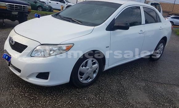 Buy Used Toyota Corolla White Car in Dededo in Dededo Buy Used Toyota Corolla White Car in Dededo in Dededo
