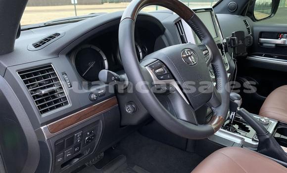 Buy Used Toyota Land Cruiser Black Car in Hagåtña in Hagatna Buy Used Toyota Land Cruiser Black Car in Hagåtña in Hagatna