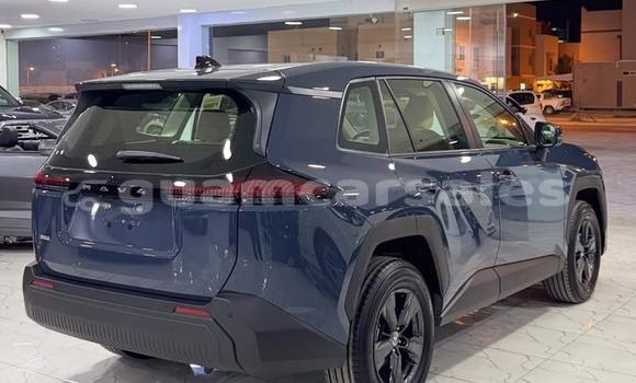 Buy Used Toyota RAV4 Blue Car in Santa Rita in Agat