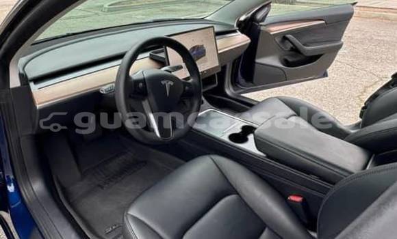 Buy Used Tesla Model 3 Blue Car in Yigo in Yigo