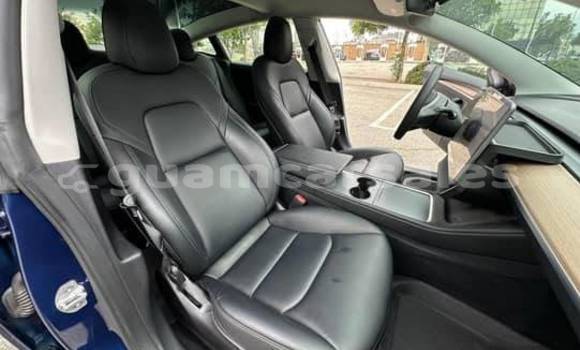 Acheter Occasion Voiture Tesla Model 3 Bleu à Yigo, Yigo Acheter Occasion Voiture Tesla Model 3 Bleu à Yigo, Yigo