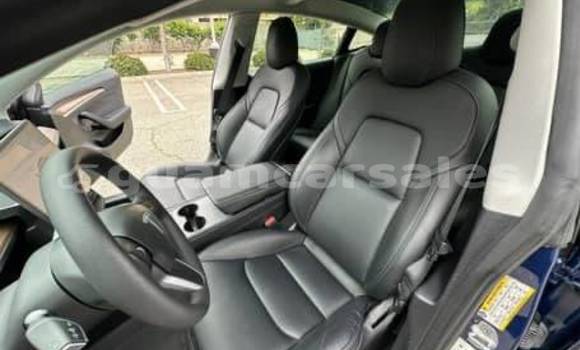 Acheter Occasion Voiture Tesla Model 3 Bleu à Yigo, Yigo Acheter Occasion Voiture Tesla Model 3 Bleu à Yigo, Yigo