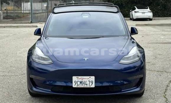 Acheter Occasion Voiture Tesla Model 3 Bleu à Yigo, Yigo Acheter Occasion Voiture Tesla Model 3 Bleu à Yigo, Yigo