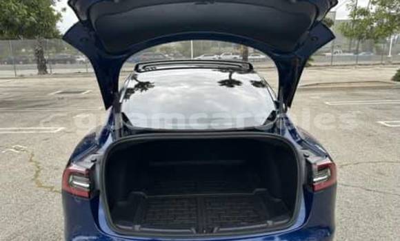 Acheter Occasion Voiture Tesla Model 3 Bleu à Yigo, Yigo Acheter Occasion Voiture Tesla Model 3 Bleu à Yigo, Yigo
