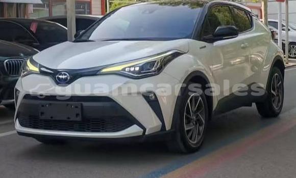 Buy Used Toyota C-HR White Car in Hagåtña in Hagatna
