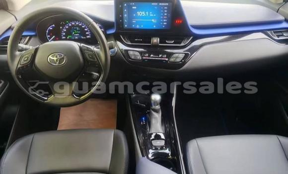 Buy Used Toyota C-HR White Car in Hagåtña in Hagatna Buy Used Toyota C-HR White Car in Hagåtña in Hagatna