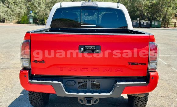 Buy Used Toyota DA Other Truck in Chalan Pago in Chalan-Pago-Ordot Buy Used Toyota DA Other Truck in Chalan Pago in Chalan-Pago-Ordot