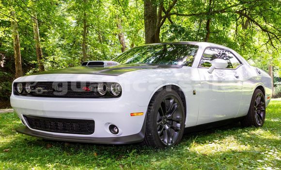 Buy Used Dodge Challenger White Car in Yona in Yona
