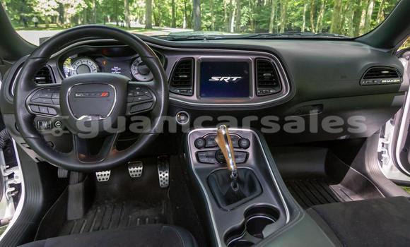 Buy Used Dodge Challenger White Car in Yona in Yona Buy Used Dodge Challenger White Car in Yona in Yona
