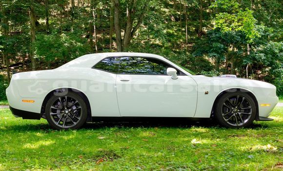 Buy Used Dodge Challenger White Car in Yona in Yona Buy Used Dodge Challenger White Car in Yona in Yona