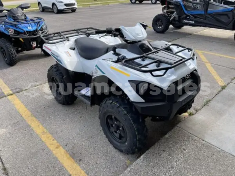 Big with watermark kawasaki brute force dededo astumbo 759