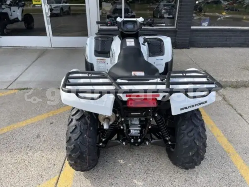 Big with watermark kawasaki brute force dededo astumbo 759