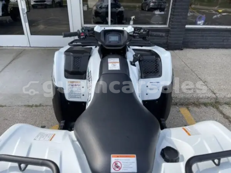 Big with watermark kawasaki brute force dededo astumbo 759