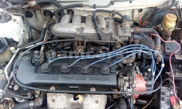 Buy Used Nissan Sentra White Car in Chalan Pago in Chalan-Pago-Ordot