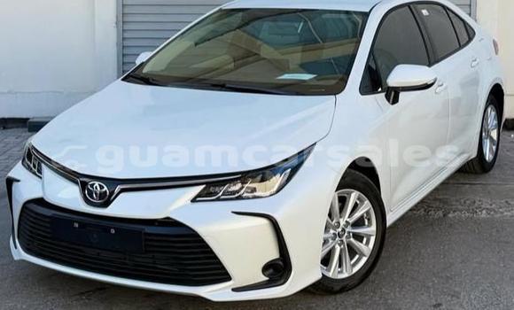 Buy Used Toyota Corolla White Car in Hagåtña in Hagatna
