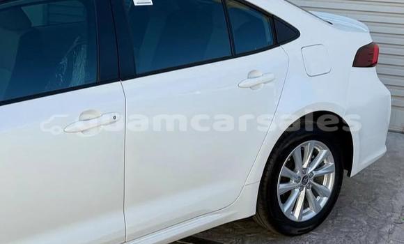 Buy Used Toyota Corolla White Car in Hagåtña in Hagatna Buy Used Toyota Corolla White Car in Hagåtña in Hagatna