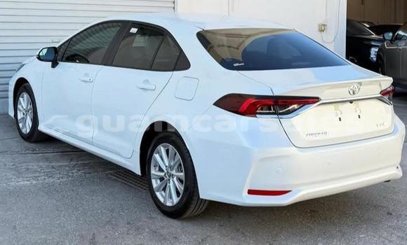 Buy Used Toyota Corolla White Car in Hagåtña in Hagatna Buy Used Toyota Corolla White Car in Hagåtña in Hagatna