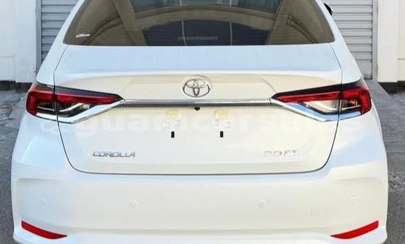 Buy Used Toyota Corolla White Car in Hagåtña in Hagatna Buy Used Toyota Corolla White Car in Hagåtña in Hagatna
