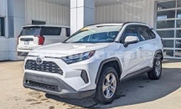 Buy Used Toyota RAV4 White Car in Anderson Air Force Base in Yigo