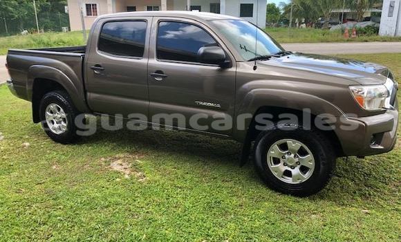 Medium with watermark 30623955 578122035882356 6857030771144654848 n