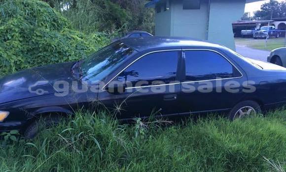 Medium with watermark 30623955 578122035882356 6857030771144654848 n