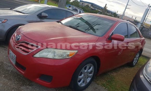 Medium with watermark bb