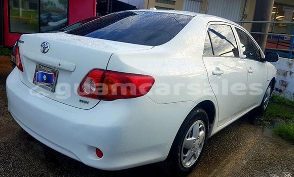 Buy Used Toyota Corolla White Car in Dededo in Dededo Buy Used Toyota Corolla White Car in Dededo in Dededo