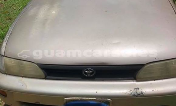 Medium with watermark 30623955 578122035882356 6857030771144654848 n