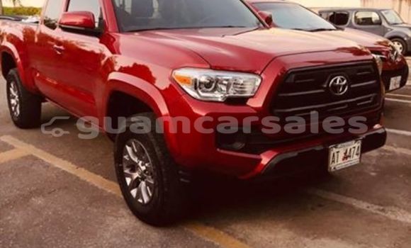 Medium with watermark 46184602 1930726380315617 8911647240406171648 n