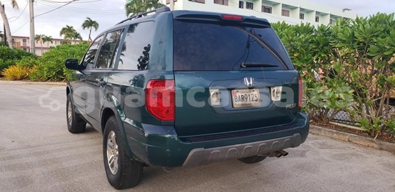 Big with watermark 46384960 10215822020417582 3570141128999043072 n