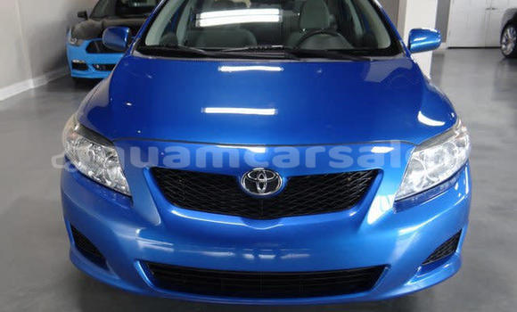 Buy Used Toyota Corolla Other Car in Hagåtña in Hagatna Buy Used Toyota Corolla Other Car in Hagåtña in Hagatna